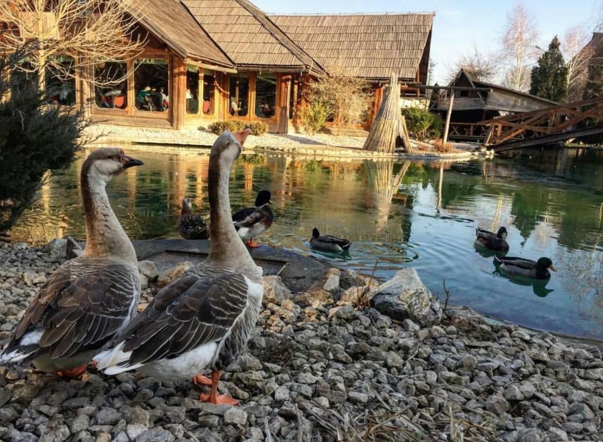 Ethno Village Stanisici Bijeljina Bagian luar foto